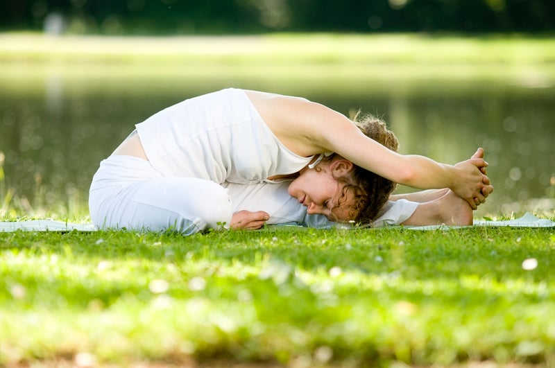 Vinyasa Yoga Pose